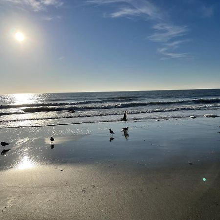 Blue Palmetto Vacation Rentals شاطئ ميرتل المظهر الخارجي الصورة