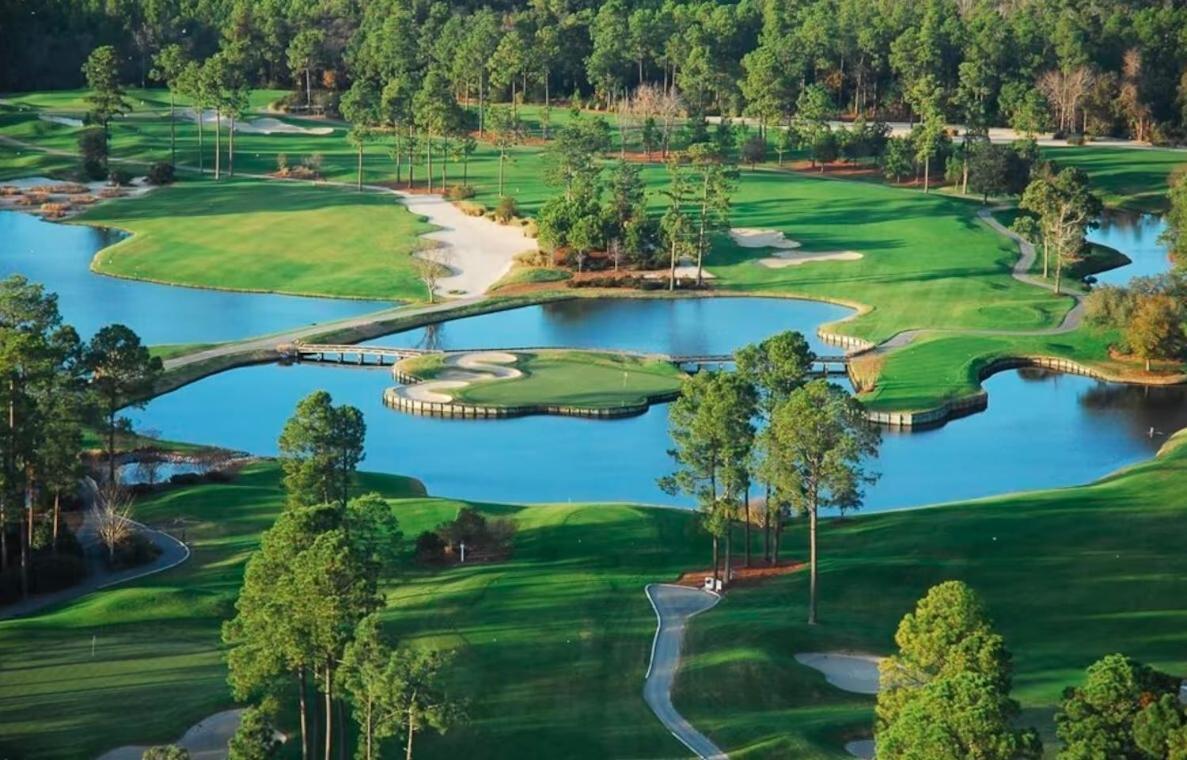 Blue Palmetto Vacation Rentals شاطئ ميرتل المظهر الخارجي الصورة